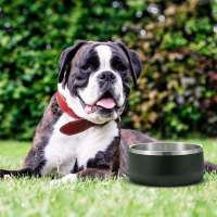 Everich wholesale custom luxury slow food feeder personalized stainless steel pet container dog none-slip travel bowl basin